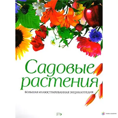 Екатерина Васильевна Билокур - Садовые цветы, 1952: Описание произведения |  Артхив