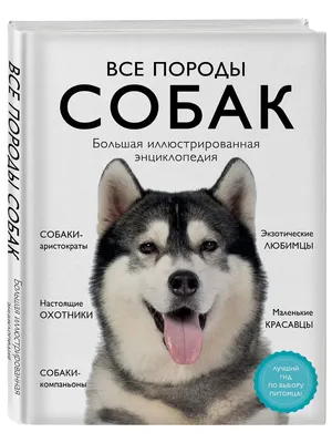 Все породы собак. Большая иллюстрированная энциклопедия Эксмо 15472386  купить за 1 643 ₽ в интернет-магазине Wildberries