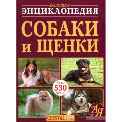 Большая энциклопедия. Собаки, Барановская И.Г., Вайткене Л.Д., Филиппова  М.Д. . Большая энциклопедия увлечений , АСТ , 9785171326111 2023г. 1348,00р.