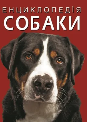 Книга "Энциклопедия. Собаки" цвет разноцветный ЦБ-00180516 Издательство  "Кристал Бук" ‣ Цена 386 грн ‣ Купить в интернет-магазине Каста ‣ Киев,  Одесса, Харьков ‣ Доставка по всей Украине!(#259961074)