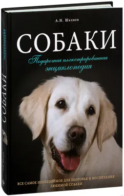 Все породы собак. Большая иллюстрированная энциклопедия - отзывы  покупателей на маркетплейсе Мегамаркет | Артикул: 100027474300