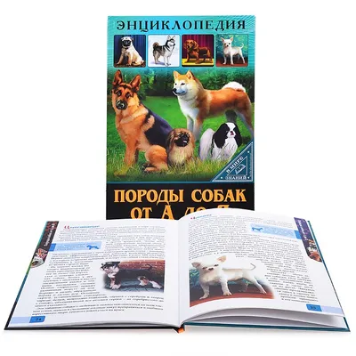 Энциклопедия дошкольника Издательство РАНОК Собаки - купить по выгодной  цене в Киеве - Интернет-магазин детских товаров Raiduga