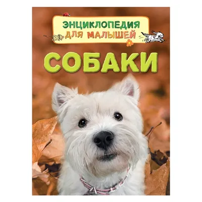 Собаки. Энциклопедия дошкольника - Vilki Books