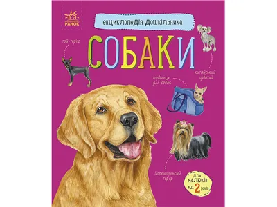 Собаки. Подарочная иллюстрированная энциклопедия Андрей Шкляев - купить  книгу Собаки. Подарочная иллюстрированная энциклопедия в Минске —  Издательство Эксмо на 