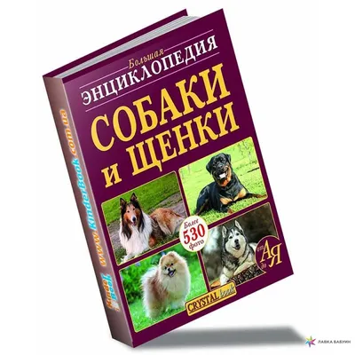 Детские книги про собак (чтение для самых маленьких)