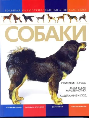 Книга Барановская И.Г., Вайткене Л.Д Большая энциклопедия. Собаки •  Вайткене Л.Д. Барановская И.Г. - купить по цене 868 руб. в  интернет-магазине  | ISBN 978-5-17132-611-1