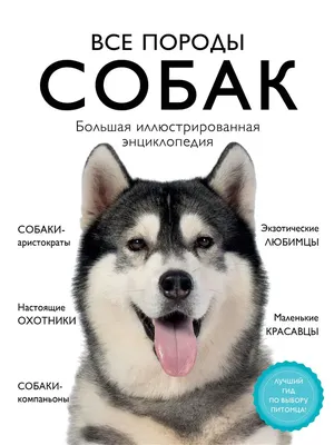 Все породы собак. Большая иллюстрированная энциклопедия Эксмо 15472386  купить за 1 643 ₽ в интернет-магазине Wildberries