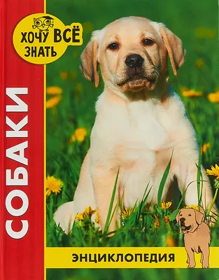 Энциклопедия пород собак Eukanuba (породы H-Z), 332 стр.