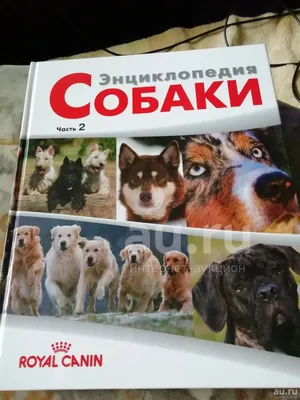 Все породы собак. Большая иллюстрированная энциклопедия Эксмо 15472386  купить за 1 643 ₽ в интернет-магазине Wildberries