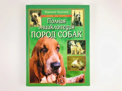 Энциклопедия с развивающими заданиями. Собаки. купить оптом в Екатеринбурге  от 269 руб. Люмна