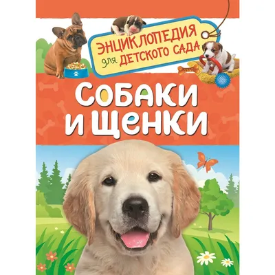 Иллюстрация 38 из 40 для Собаки. Иллюстрированная энциклопедия - Тамсин  Пикерел | Лабиринт - книги. Источник: Иванова Татьяна