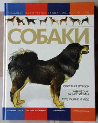 Купить Энциклопедия для детского сада Собаки и щенки недорого в магазине  игрушек "Маленькая умница"