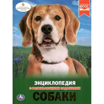 Детская энциклопедия "Собаки" Купить Оптом: Цена от  руб