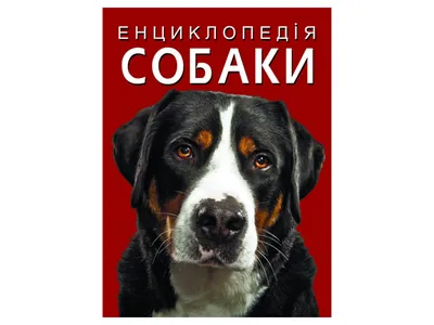 Породы собак: Иллюстрированная энциклопедия (Палмер Джоан). ISBN:  5-17-035896-2 ➠ купите эту книгу с доставкой в интернет-магазине «Буквоед»  - 332775