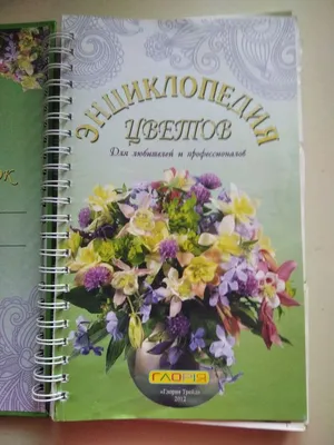 Цветы. Популярная детская энциклопедия. Книги для детей Владис 12051044  купить в интернет-магазине Wildberries