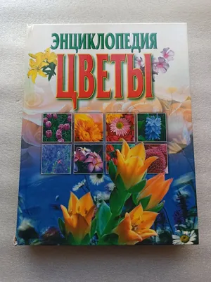 Энциклопедия о садовых цветах — купить в Красноярске. Сад, огород, цветы на  интернет-аукционе 