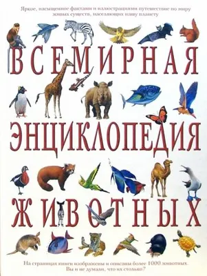 Отзывы о книге «Энциклопедия животных», рецензии на книгу , рейтинг в  библиотеке Литрес