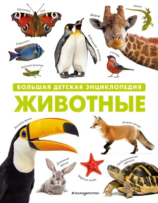 Животные. Детская энциклопедия – купить по лучшей цене на сайте  издательства Росмэн