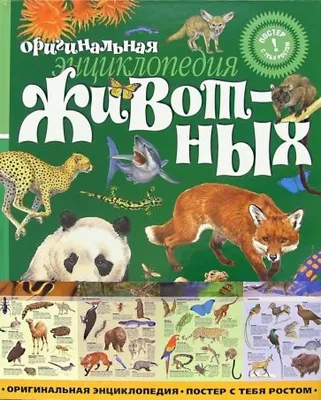 Большая энциклопедия животных – скачать pdf на ЛитРес