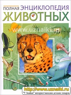 Книга: "Энциклопедия животных". Купить книгу, читать рецензии | Animals  Fold-out Book | ISBN 978-5-18-000804-2 | Лабиринт