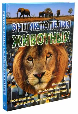 Книга: "Животные. Полная энциклопедия" - Юлия Школьник. Купить книгу,  читать рецензии | ISBN 978-5-699-83000-8 | Лабиринт