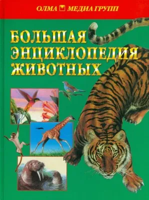 Книга: "Всемирная энциклопедия животных". Купить книгу, читать рецензии |  ISBN 978-5-699-16267-3 | Лабиринт