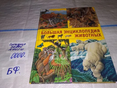 Детская энциклопедия: «Всё о животных от А до Я» читать онлайн бесплатно |  СказкиВсем