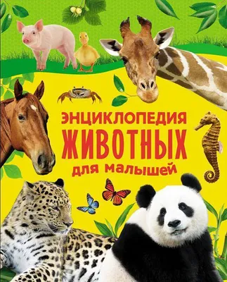 Книга Энциклопедия животных для малышей арт 06074-1 Росмэн