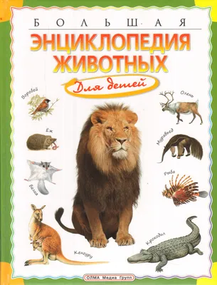 Книга: "Большая энциклопедия животных". Купить книгу, читать рецензии |  Prima enciclopedia degli animali | ISBN 978-5-373-03475-3 | Лабиринт