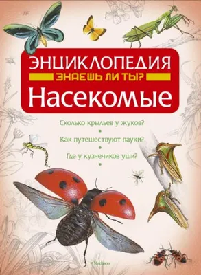 Энциклопедия жуков картинки