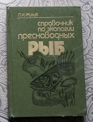 Книга Павла Жукова рассказывает про влюбленность к родной странице  Мядельщины | 