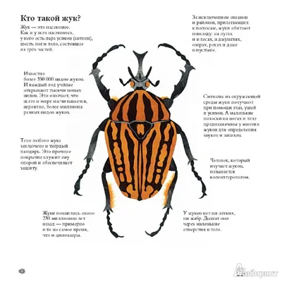 Большая энциклопедия о насекомых. 500 фотографий и фактов / ISBN  978-5-17-147758-5