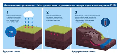 ЭРОЗИЯ шейки матки: фото и лечение БЕЗ БОЛИ | Курортная КЛИНИКА женского  ЗДОРОВЬЯ