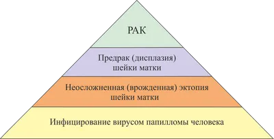 Эрозия шейки матки: свечи для лечения и заживления после прижигания |  Статьи на 