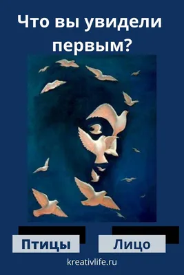 А вы сможете найти три Совы на этой картинке? Зрение может обмануть вас |  Лисичка | Дзен