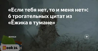 Если тебя нет, то и меня нет»: 6 трогательных цитат из «Ёжика в тумане» |  Журнал  | Дзен