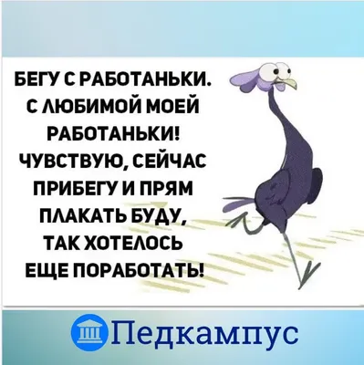 Антирейтинг зарплат: 20 профессий, за которые явно мало платят