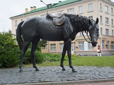 Я эти ваши дачи… | Пикабу