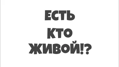 Живые есть? | Пикабу