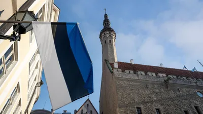 СМИ: Эстония пошла на неожиданный шаг на границе с Россией - РИА Новости,  