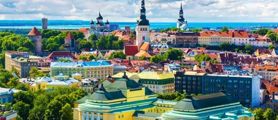 Другого дома у нас уже нет»: как российские студенты борются за право  остаться в Эстонии