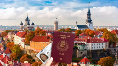 Отдых в Эстонии. Все что нужно знать об Эстонии: климат, курорты, кухня,  виза