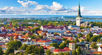 Гражданство Эстонии по рождению: кто может его получить и как это сделать