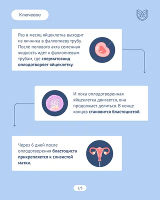 Интервью с эмбриологом Маркиной О. В. Заморозка и разморозка яйцеклетки.  Подсадка эмбрионов. ПГТ.