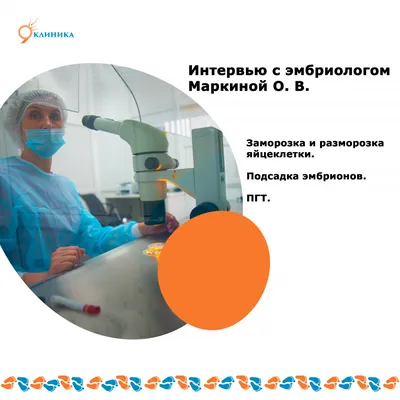 Почему во время развития in vitro иногда происходит остановка эмбриона? —  Reprolife