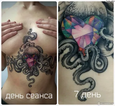 Архивы Исправление татуировок - Максим Колесников