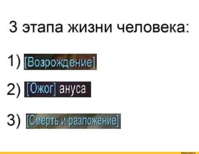 Природные этапы жизни и развития человека | Человек, Анатомия, Литература