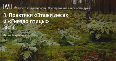 Практики «Этажи леса» и «Гнездо птицы» лекция смотреть, слушать и читать  онлайн. Курс Эко-арт-терапия. Преображение ландшафта души. Лилия Шарафиева  - Магистерия