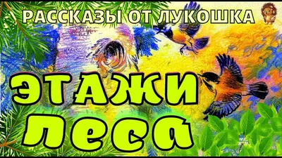 90₽🌷БРОНЬ🌷ЭТАЖИ ЛЕСА: рассказы. | Книги, Детская литература, Родео