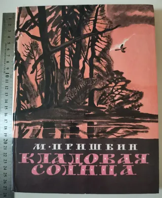 Архив Кладовая солнца Михаил Пришвин Бруни этажи леса книга книжка  рассказы: 200 грн. - Книги для детей Харьков на  98385755